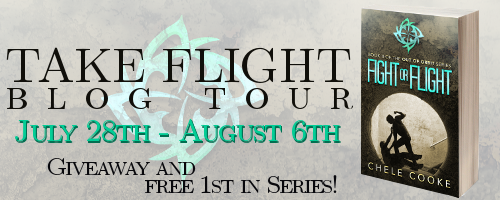 TakeFlightBanner
